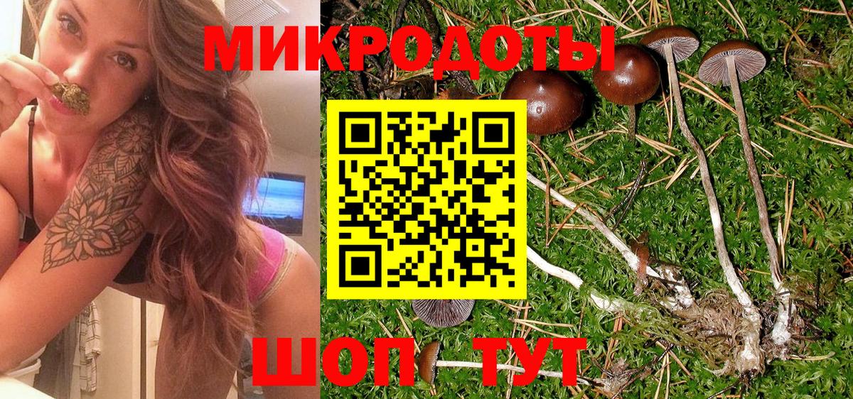 Галлюциногенные грибы GOLDEN TEACHER  Вход с VPN  Великий Новгород  Псилоцибиновые грибы прущие грибы 