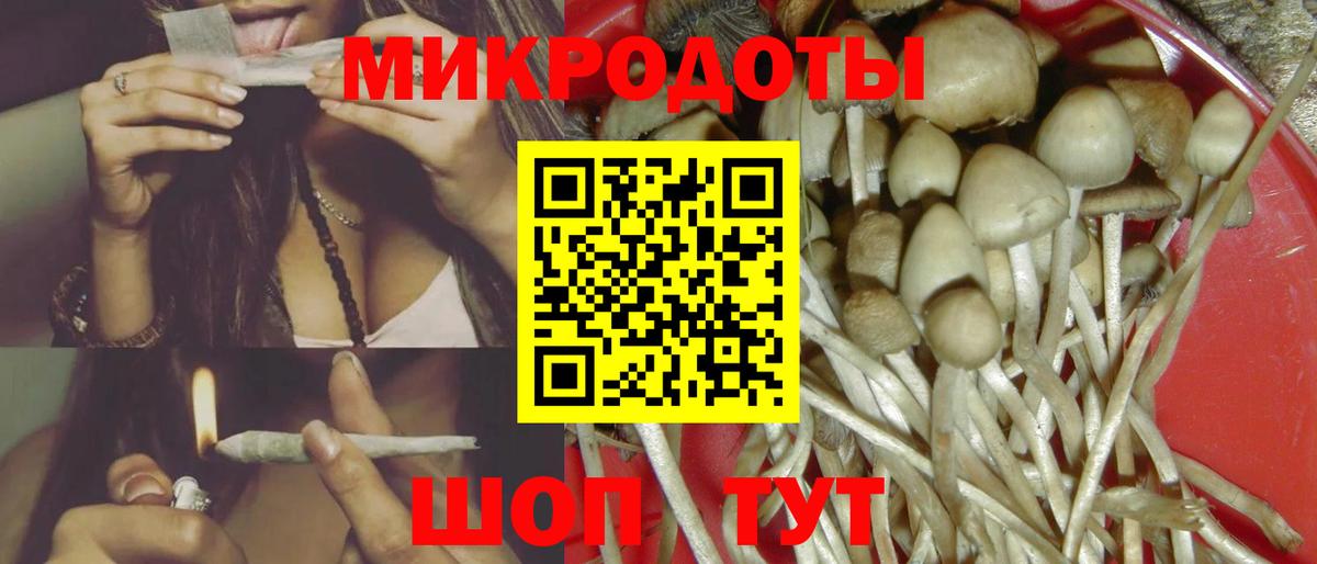 Галлюциногенные грибы Psilocybe Великий Новгород