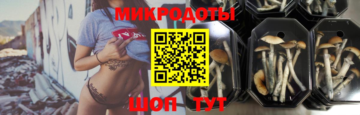 Галлюциногенные грибы прущие грибы  Великий Новгород  Галлюциногенные грибы мухоморы 