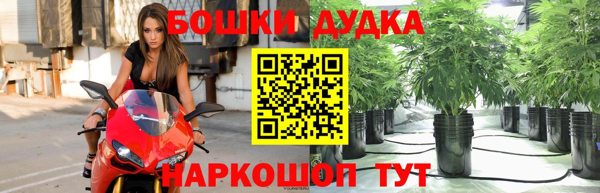 Каннабис планчик  Вход с VPN  Конопля White Widow  Великий Новгород  Шишки марихуана тримм 
